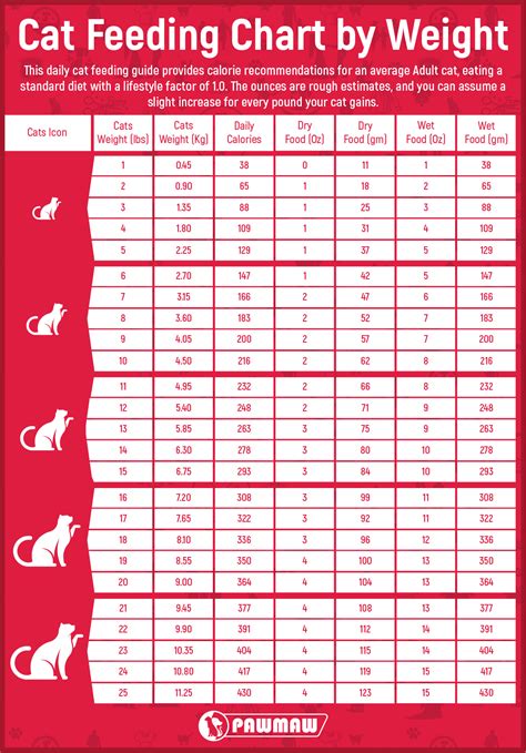 How Much To Feed A Cat Chart Calculator