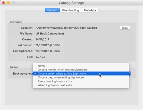 How Often Should I Backup My Lightroom Catalog