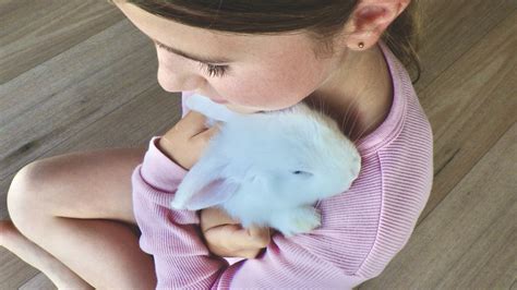 How To Care For A Rabbit