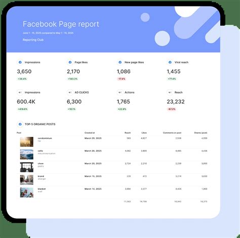 How To Create A Facebook Page Report Template