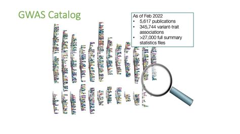 How To Download Gwas Data From Gwas Catalogue