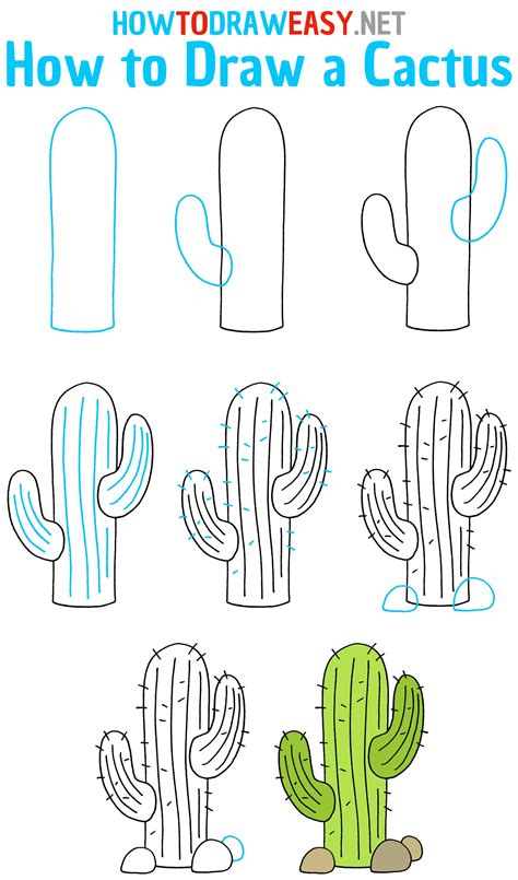 How To Draw A Catus