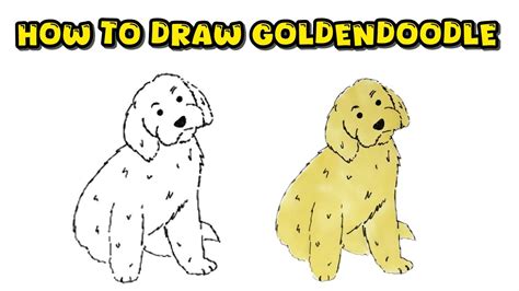 How To Draw A Goldendoodle