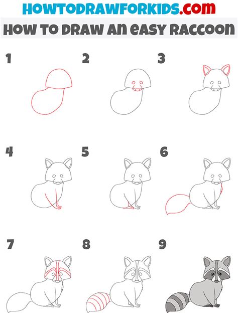 How To Draw A Raccoon Easy