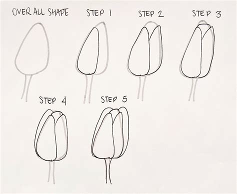 How To Draw A Real Flower Step By Step