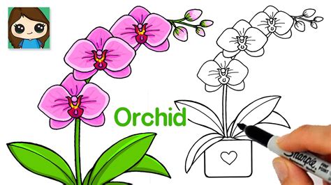 How To Draw An Orchid Easy
