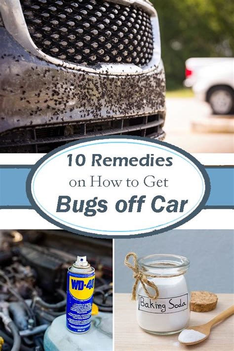 How To Get Bugs Off Car