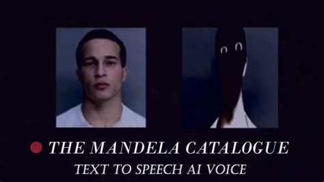 How To Make Mandela Catalogue Voice