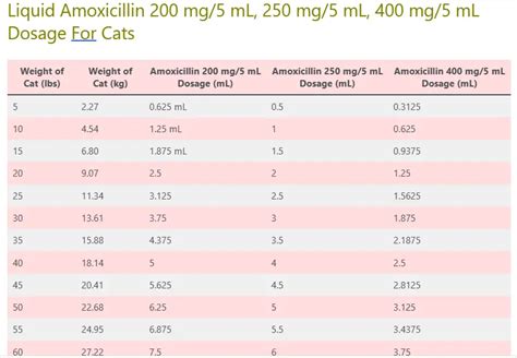Human Amoxicillin For Cats Dosage Chart