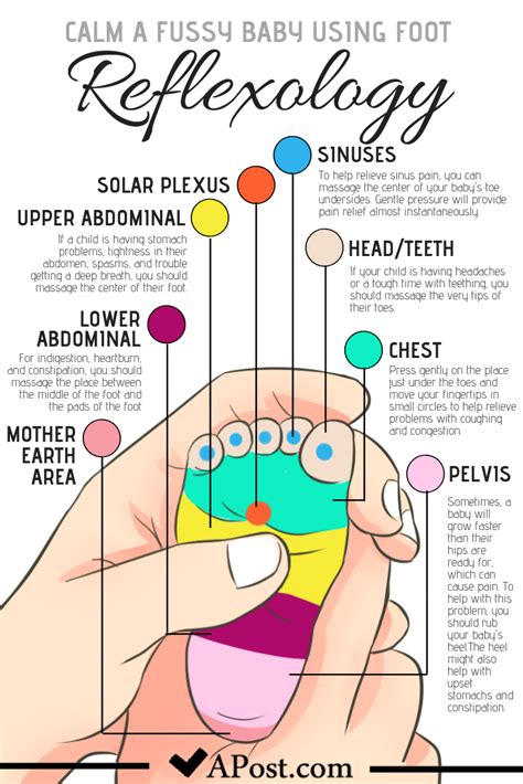 Infant Reflexology Chart