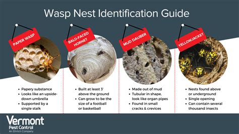 Insect Nest Identification Chart