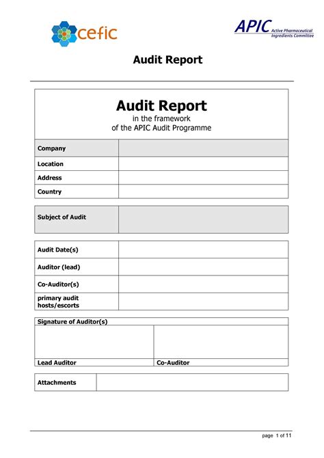 Internal Audit Report Example Template