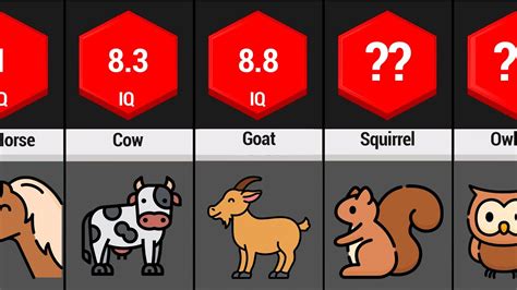 Iq Of Animals Chart