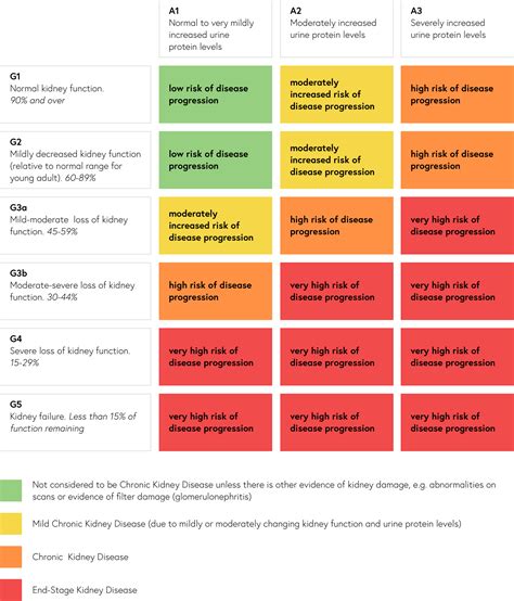 Kidney Disease Stage Chart