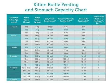 Kitten Bottle Feeding Chart