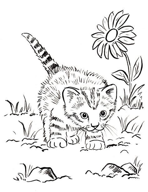 Kitten Coloring Page Printable