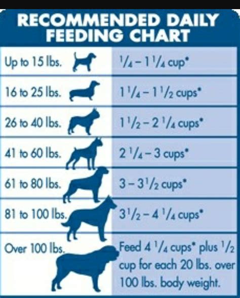 Labrador Dog Food Chart