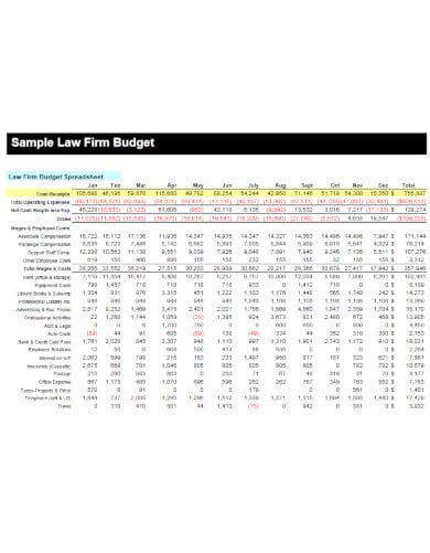 Law Firm Budget Template