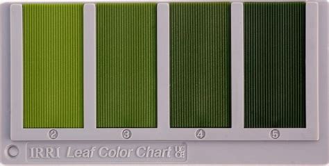 Leaf Color Chart