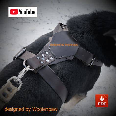 Leather Dog Harness Template