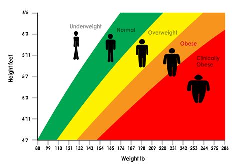 Life Expectancy By Height Chart