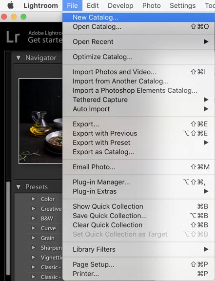 Lightroom Merge Catalogs Duplicates