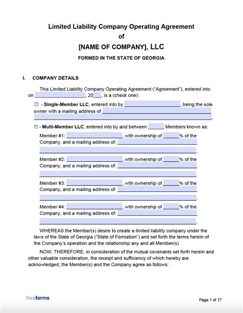 Llc Operating Agreement Template Georgia