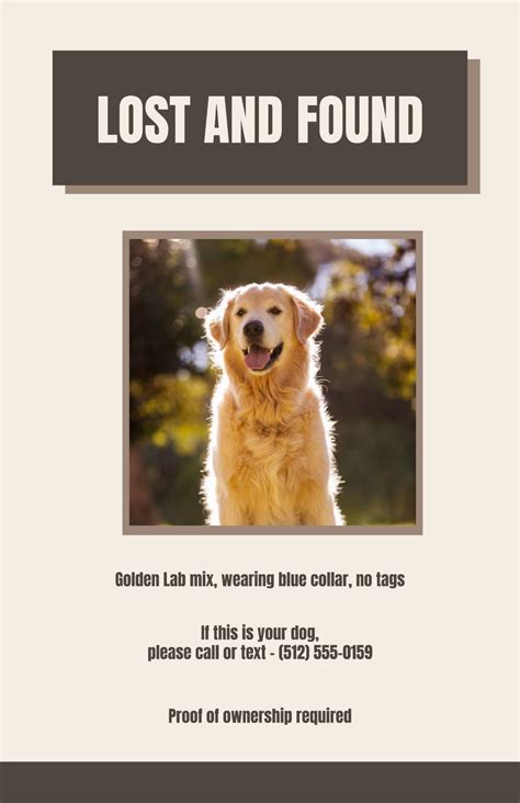 Lost Animal Poster Template