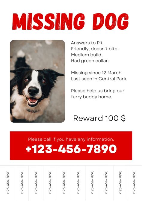 Lost Dog Poster Template
