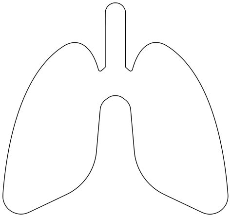 Lung Template