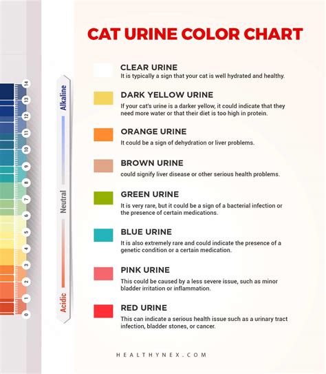 Male Cat Urine Color Chart