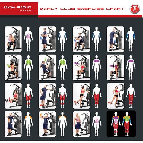 Marcy Home Gym Exercise Chart
