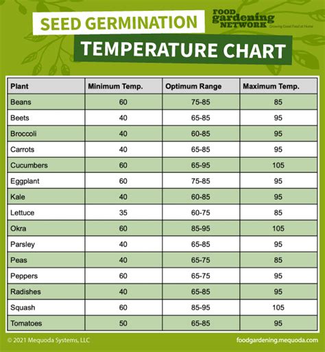 Marijuana Seed Germination Temperature Chart