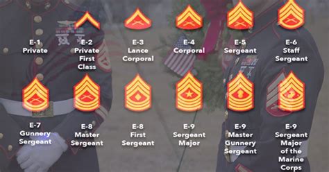 Marine Rank Chart