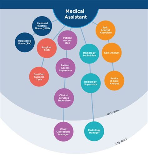 Medical Assistant Career Path
