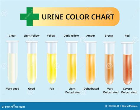 Medical Urine Color Chart