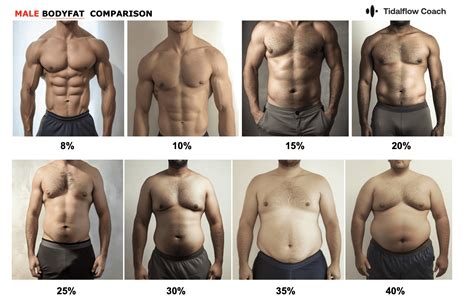 Mens Body Fat Percentage Chart