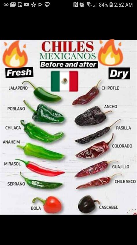 Mexican Dried Chiles Chart