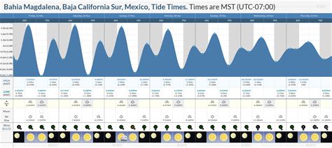 Mexico Beach Tide Chart