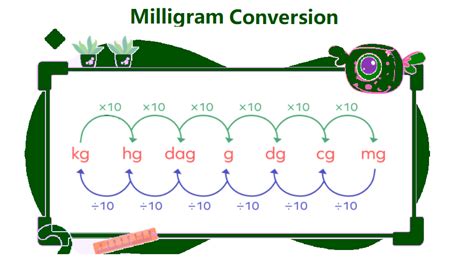 Mg And Ml Chart