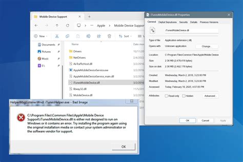 Microsoft Office Template And Media Control Ieawsdc Dll