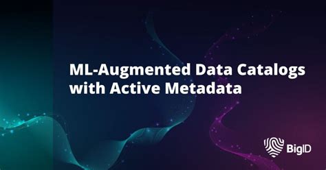 Ml-augmented Data Catalogs