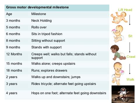 Motor Developmental Milestones Chart
