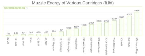 Muzzle Energy Chart