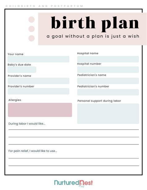 My Birth Plan Template
