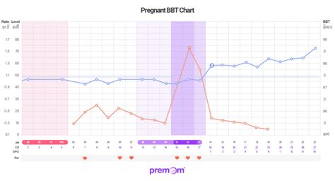 Natural Cycles Bbt Chart Pregnant