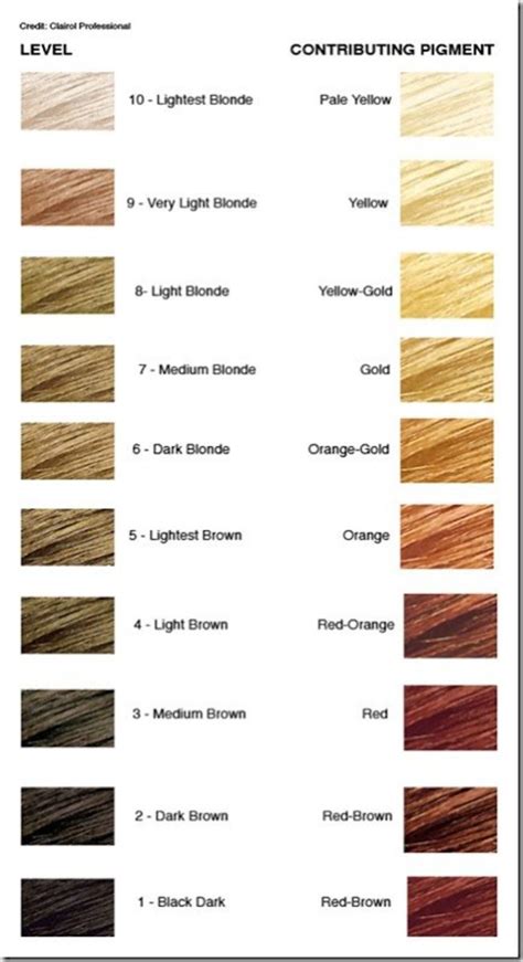 Natural Hair Color Chart Levels