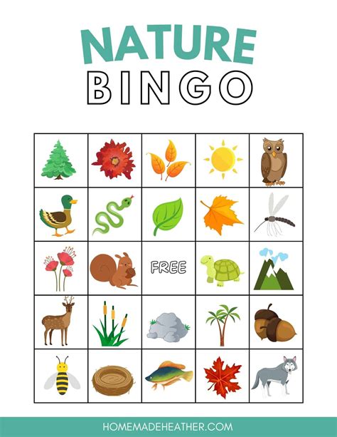 Nature Bingo Printable