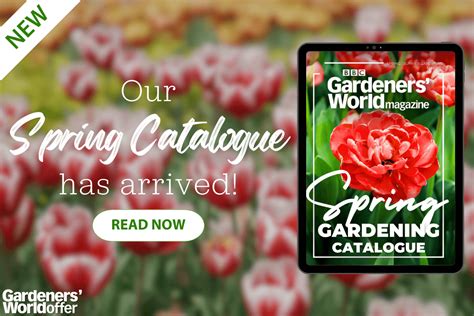 Need A Catalogue Of Spring Flowers