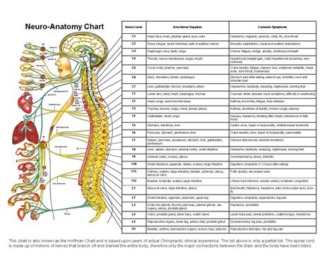 Neuro Chart